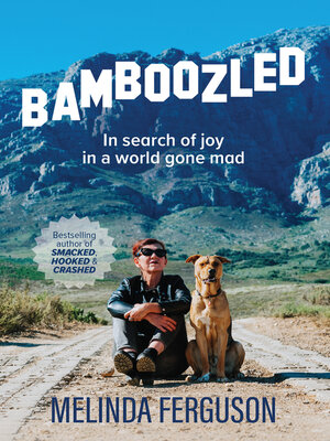 cover image of BAMBOOZLED